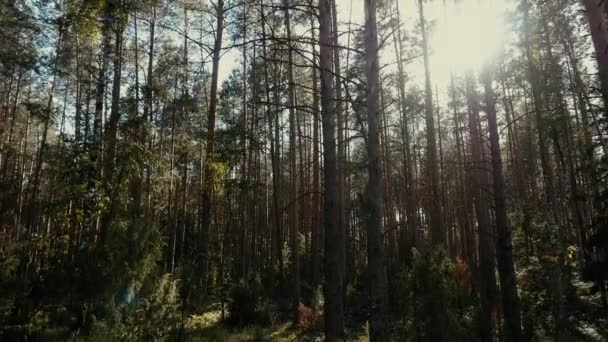 Uma Cama Branca Com Travesseiros Lençóis Uma Clareira Fundo Floresta — Vídeo de Stock