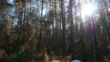 Ormanın derinliklerindeki bir açıklıkta yastıklı ve çarşaflı beyaz bir yatak var. Güneş yüksek çam ağaçlarının arasından parlıyor. Kamera aşağı iniyor. Sanatoryum ya da dinlenme merkezi için yaratıcı bir kavram..