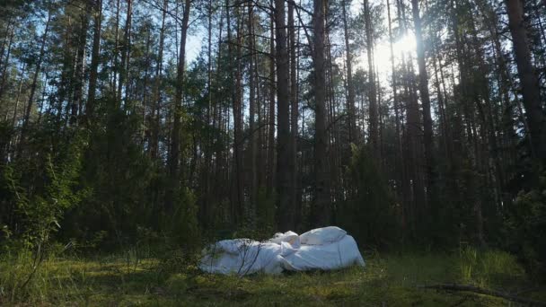 一张白色的床 在森林深处的空地上有枕头和床单 阳光正穿过高高的松树 疗养院或娱乐中心的创意概念 — 图库视频影像