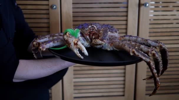 Waiter Holding Giant Fiddler Crab Plate Reastaurant Exotic Seafood Cooking — Stockvideo