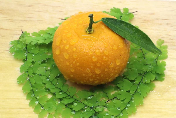Čerstvý Přírodní Pomerančové Photoshoot — Stock fotografie