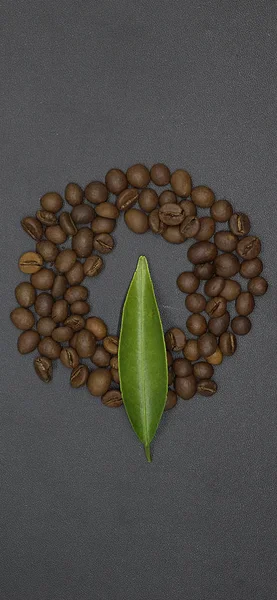 Donkere Koffiebonen Fotoshoot — Stockfoto