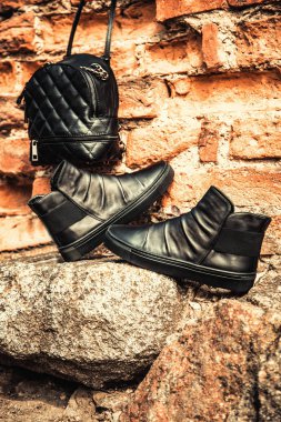 Siyah deri ayakkabı, Bayan Ayakkabı ve çanta