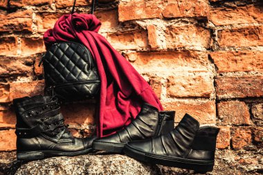 Siyah deri ayakkabı, Bayan Ayakkabı ve çanta