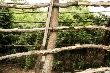 Eski uzun boylu çit arka plan dokusu