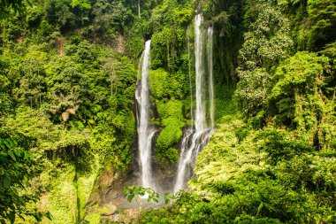 Sekumpul şelale Bali tropikal orman tarafından çevrili