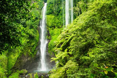 Sekumpul şelale Bali tropikal orman tarafından çevrili