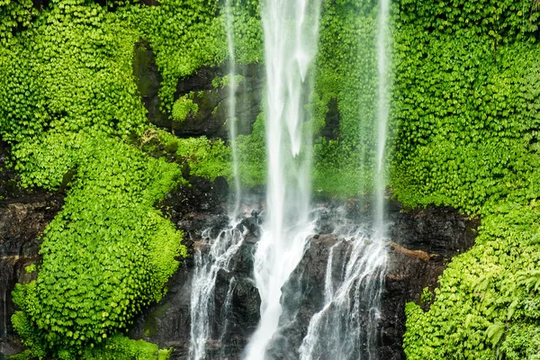 Chute d'eau Sekumpul à Bali entourée par la forêt tropicale — Photo
