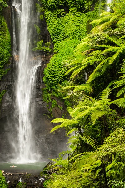 Водопад Секумпул на Бали в окружении тропических лесов — стоковое фото