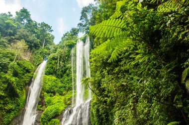 Sekumpul şelale Bali tropikal orman tarafından çevrili