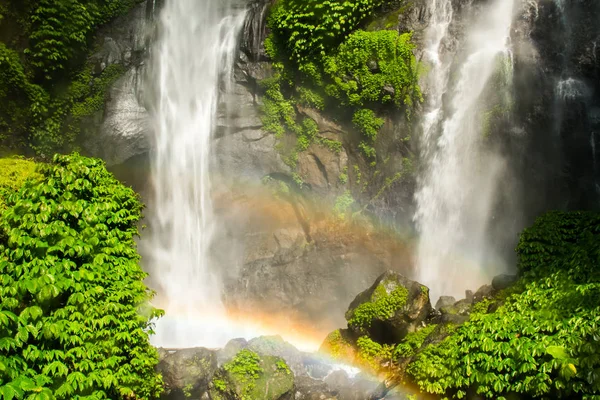 Sekumpul şelale Bali tropikal orman tarafından çevrili