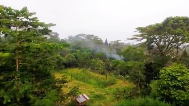 Luchtfoto beeldmateriaal en drone video van Besakih Tempel op Bali eiland — Stockvideo