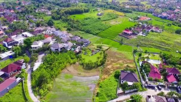 Luftaufnahmen der Drohne Canggu Bali — Stockvideo