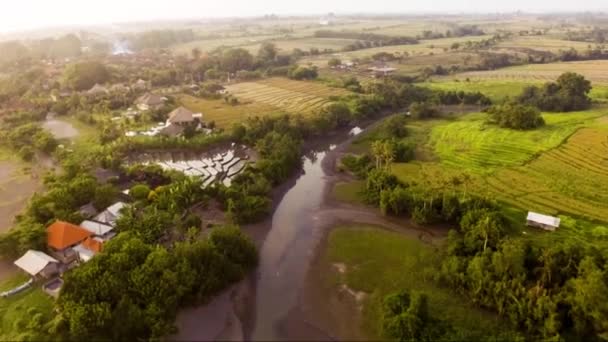 Widok z lotu ptaka z tarasu ryżowego blisko plaży Echo Bali, Indonezja — Wideo stockowe