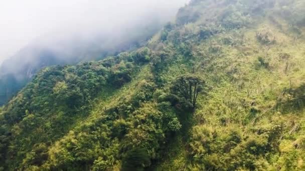 Videobeelden van de kabelbaan naar Fan Si Pan berg, Sapa, Vietnam — Stockvideo