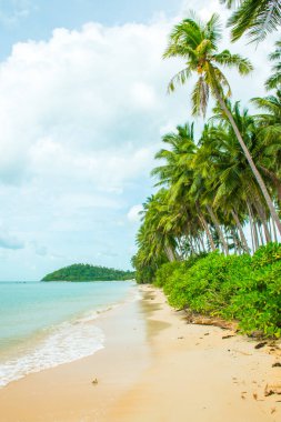 Tropik avuç içi ile Koh Samui Adası, Tayland Lipa Noi beach