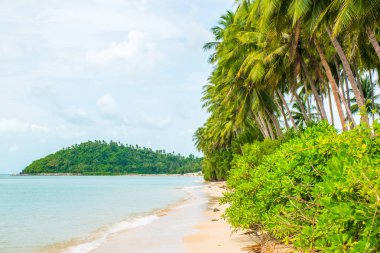 Tropik avuç içi ile Koh Samui Adası, Tayland Lipa Noi beach