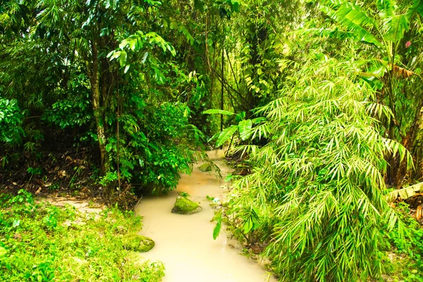 Montañas verdes con palmeras y miradores de la selva en la isla de Koh Samui —  Fotos de Stock