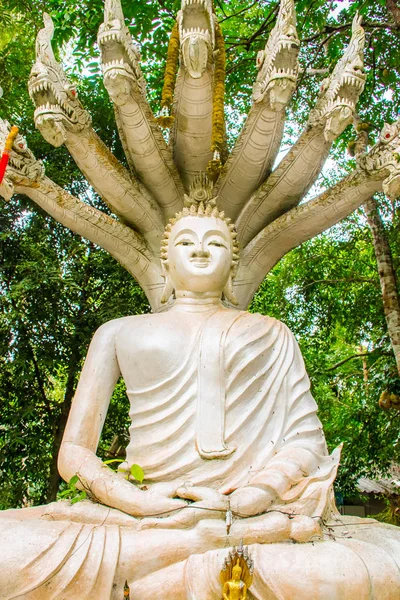 泰国苏梅岛的白佛寺 — 图库照片