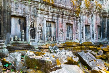 Ta Prohm Wat Angkor Kamboçya'da karmaşık tapınakta Antient kabartmaları