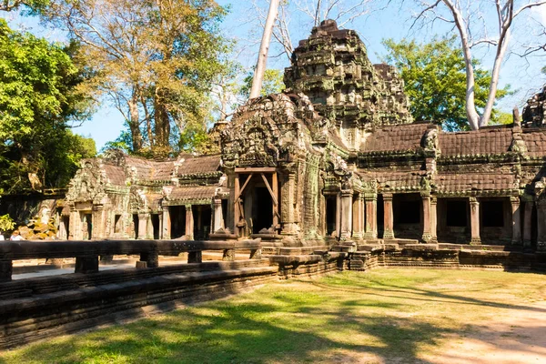 Atient eski Ta Phrom Tapınağı Angkor Wat, Kamboçya