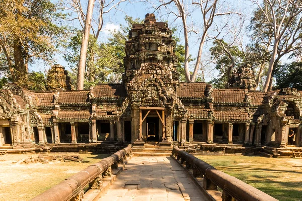 Atient eski Ta Phrom Tapınağı Angkor Wat, Kamboçya