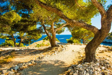 Calanque de Port Miou - Fransa 'da Cassis Köyü yakınlarında fiyort