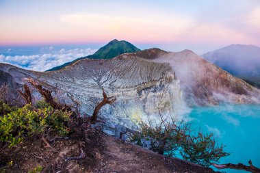 Kawah Ijen'de volkan güzel gündoğumu sırasında ağaçlarda Endonezya Doğu Java ile