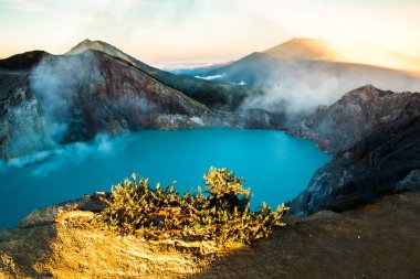 Kawah Ijen'de volkan güzel gündoğumu sırasında ağaçlarda Endonezya Doğu Java ile