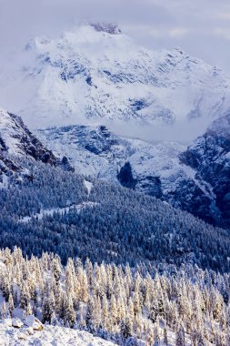 Dağların karlı güzel orman İtalya Alpleri'nde Dolomites ile kışın peri masalı