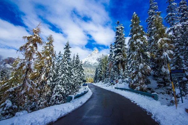 Camino de invierno y árboles con nieve y alpes paisaje, Dolomity, It — Foto de Stock