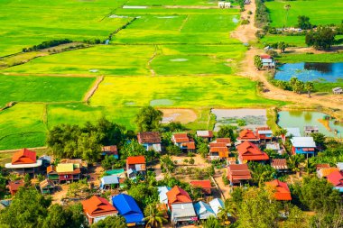 Kayan köyü Phnom Krom, yeşil pirinç tarlaları Tonle Sap, Siem Reap, Kamboçya