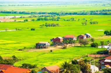 Kayan köyü Phnom Krom, yeşil pirinç tarlaları Tonle Sap, Siem Reap, Kamboçya