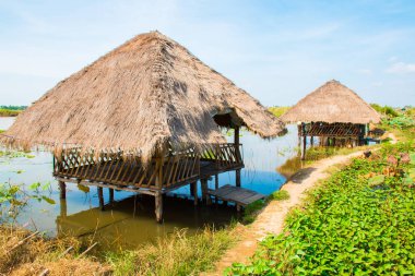 Lotus çiçek alanı ve kulübe Phnom Krom, Kamboçya Siem Reap yakınındaki grupla
