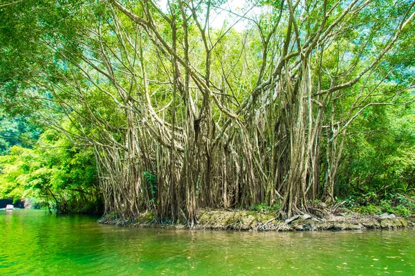 Δέντρα και στη λίμνη του Trang ένα γραφικό τοπίο, Binh Νιν, Βιετνάμ — Φωτογραφία Αρχείου