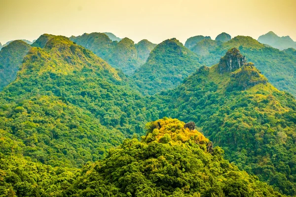 Halong bay mountain viewpoint from Cat Ba Island, Ngu Lam Peak, Vietnam — Stock Photo, Image