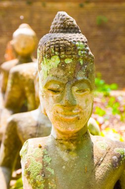 Chiang Mai, Tayland tapınakta Wat Umong antik Tay Buda heykeli