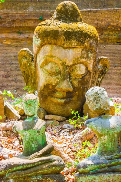 Chiang Mai, Tayland tapınakta Wat Umong antik Tay Buda heykeli