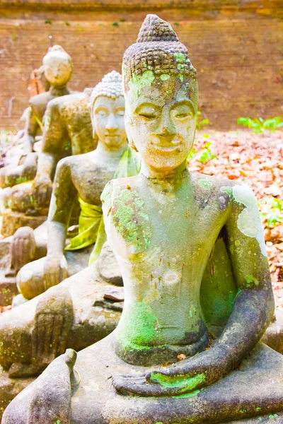 Chiang Mai, Tayland tapınakta Wat Umong antik Tay Buda heykeli