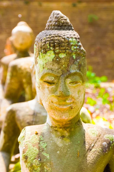 Chiang Mai, Tayland tapınakta Wat Umong antik Tay Buda heykeli