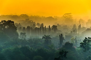 Güzel gizemli Sisli sabah Budist Tapınağı karmaşık Borobudur, Yogyakarta, Jawa, Endonezya