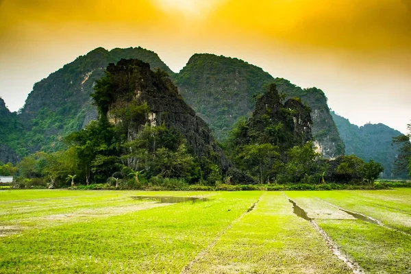 Campos de arroz, Tam Coc, Ninh Binh, Vietnam paisajes — Foto de Stock