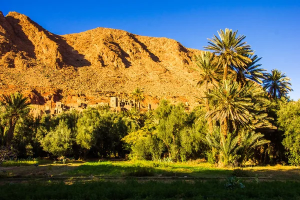 Beautiful landscape of palm oasis close to Tinghir, Morocco, Africa — Stock Photo, Image