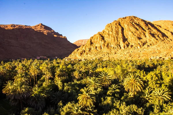 Bela paisagem de oásis de palma perto de Tinghir, Marrocos, África — Fotografia de Stock