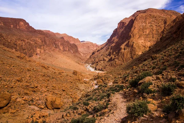 Todgha Gorge is canyon in Atlas Mountains, near Tinghir, Morocco — Stock Photo, Image
