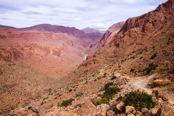 Todgha Gorge is canyon in Atlas Mountains, near Tinghir, Morocco — Stock Photo, Image