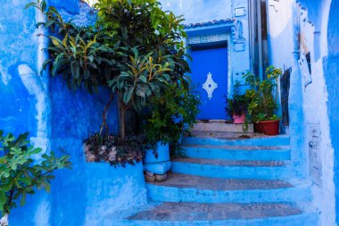 Bitkilerde Bahçe mavi Medine: Chefchaouen, Morocco evin önünde