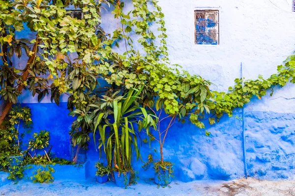 Detalles Arquitectónicos Tradicionales Marroquíes Chefchaouen Marruecos África Chefchaouen Ciudad Azul —  Fotos de Stock