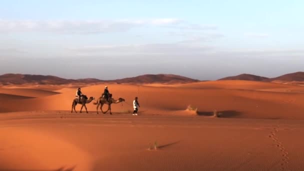 Lindas dunas do deserto do Saara Erch Chebi, Marrocos, África — Vídeo de Stock