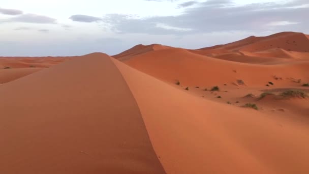Szép dűnék Szahara sivatag Erch Chebi, Marokkó, Afrika — Stock videók